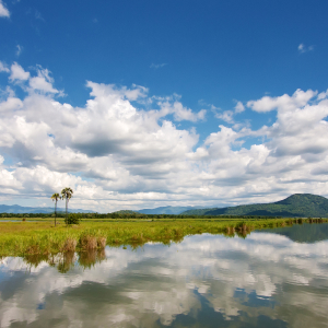 Malawi image set