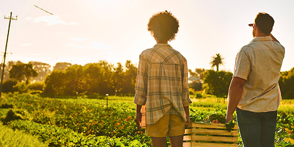 Sustainability manadate midpage banner